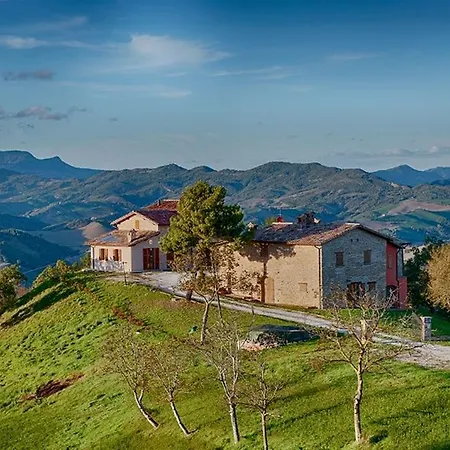 Orsa Minore SantʼAngelo in Vado